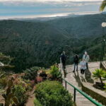 From Las Palmas: Half day tour Volcano Bandama & Vineyard - Exploring the Itinerary in Detail