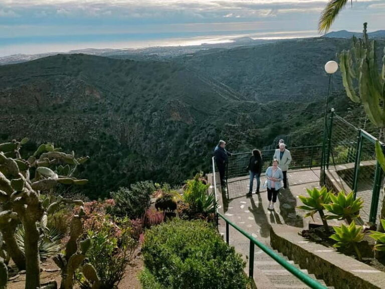 From Las Palmas: Half day tour Volcano Bandama & Vineyard - Exploring the Itinerary in Detail
