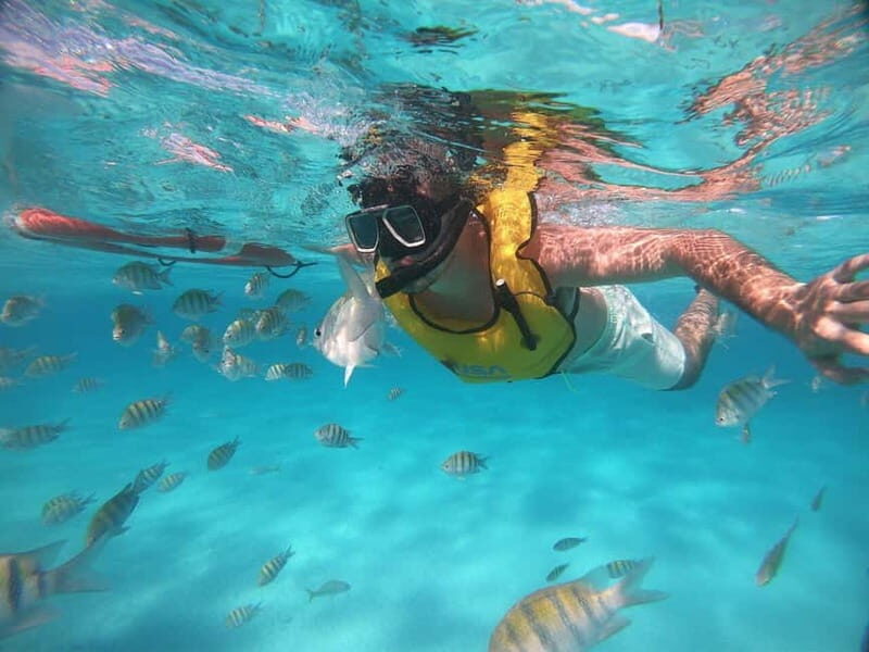 FROM LATCHI: Blue Lagoon Akamas Cruise - large water slide - Itinerary Breakdown