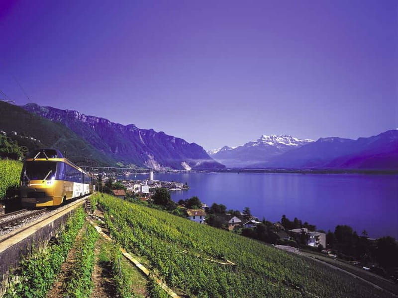 From Lausanne: Gruyères Tour with Train, Chocolate & Cheese - Key Points