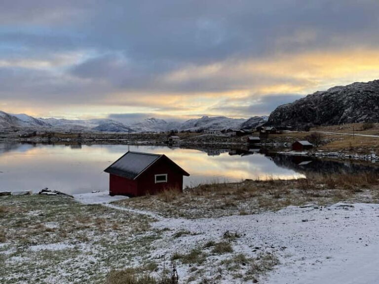 From Leknes: Lofoten Sightseeing Tour - Practical Insights