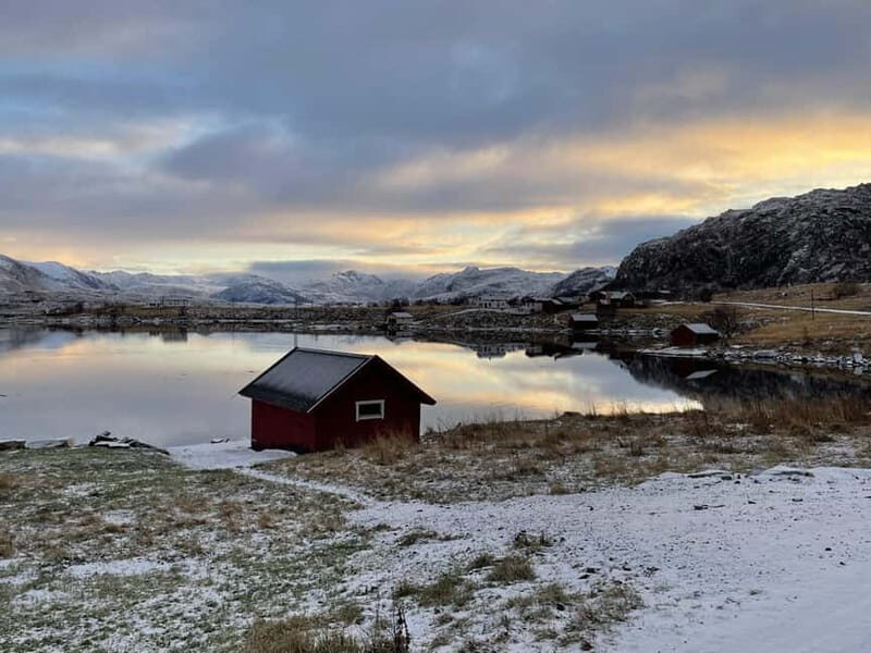 From Leknes: Lofoten Sightseeing Tour - Practical Insights