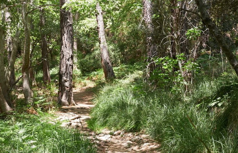 From Limassol: Grand Tour Jeep Safari - Authentic Experiences and What Sets This Tour Apart