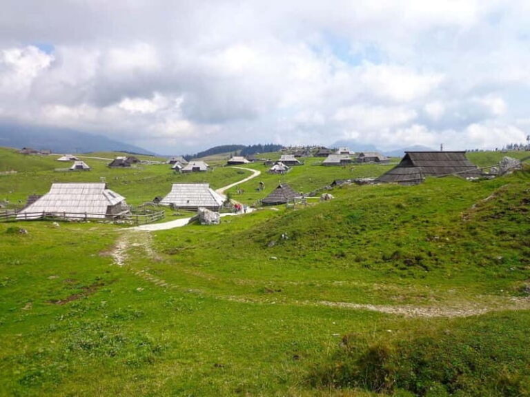 From Ljubljana: Velika Planina Guided Hike - The Cultural and Culinary Highlights