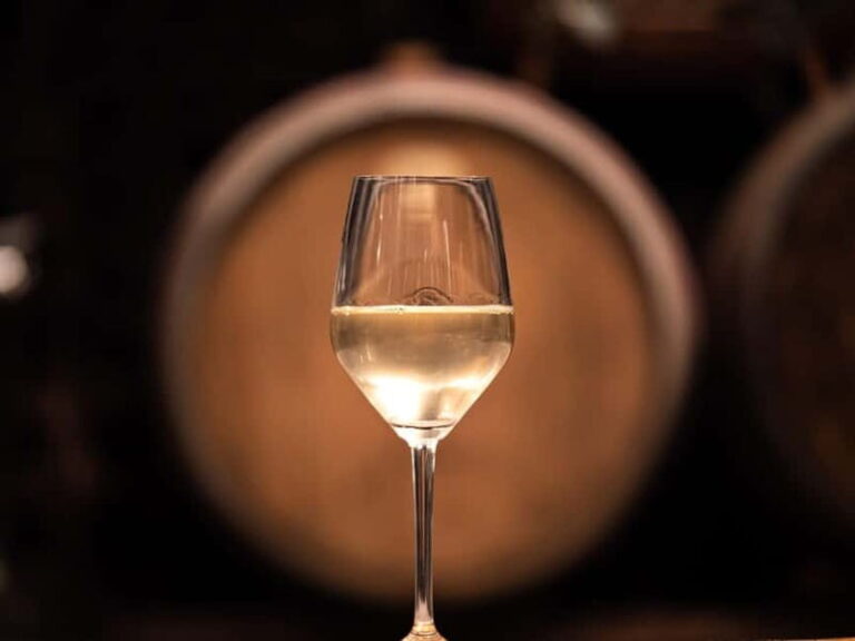 From Ljubljana: Vipava Valley Wine Express Tour - Detailed Review of the Vipava Valley Wine Express Tour