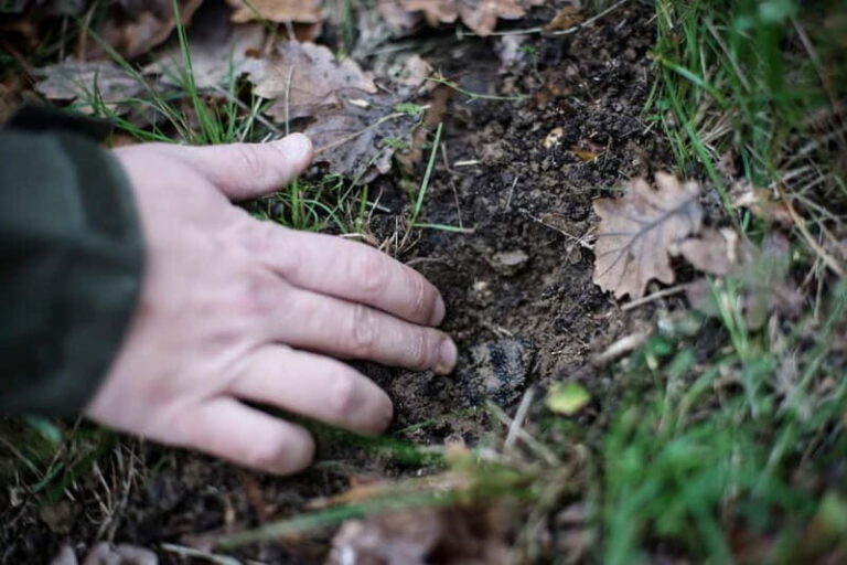 From location: Truffle farm visit, culinary workshop, meal - Who Should Consider This Tour?