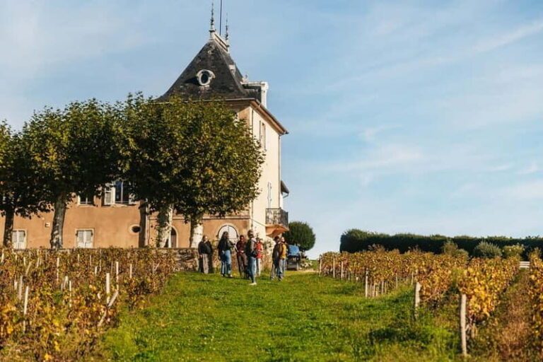 From Lyon: Beaujolais Wine Tour with Tastings - The Value of the Tour