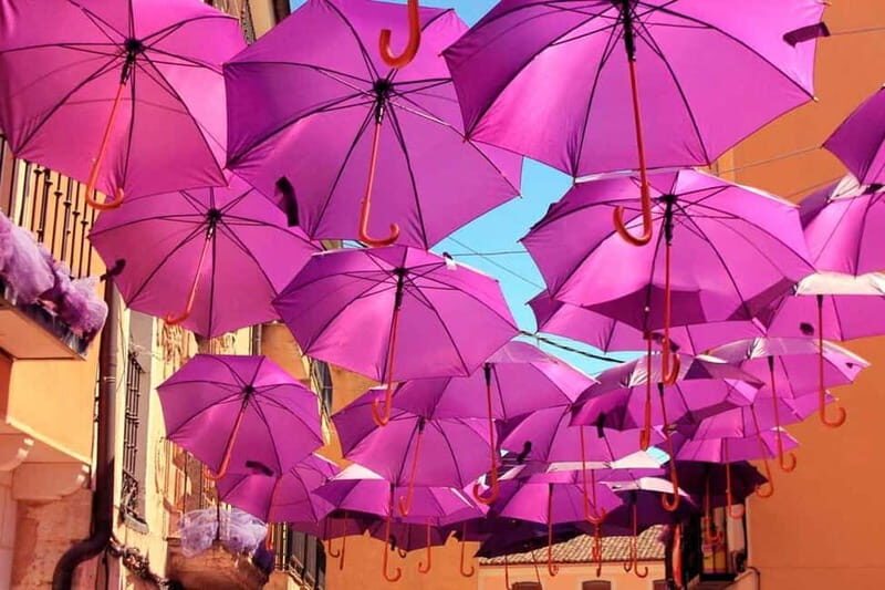 From Madrid: Brihuega Lavender Fields Guided Tour - Why This Tour Is Worth Considering