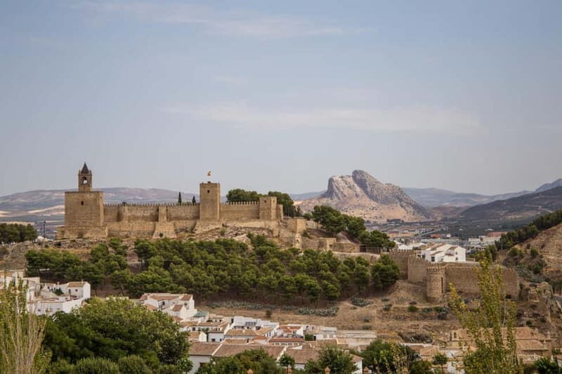 From Malaga: Antequera Heritage and Oil Mill land - What Makes This Tour Stand Out?