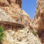 From Málaga: Caminito del Rey Day Trip & Guided Tour - What to Expect from Your Caminito del Rey Day Trip