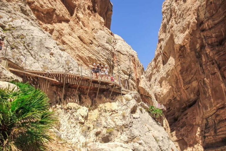 From Málaga: Caminito del Rey Day Trip & Guided Tour - What to Expect from Your Caminito del Rey Day Trip