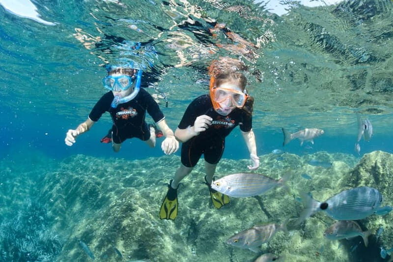 From Mandelieu-La Napoule: Boat and Snorkeling Tour - The Value of This Tour