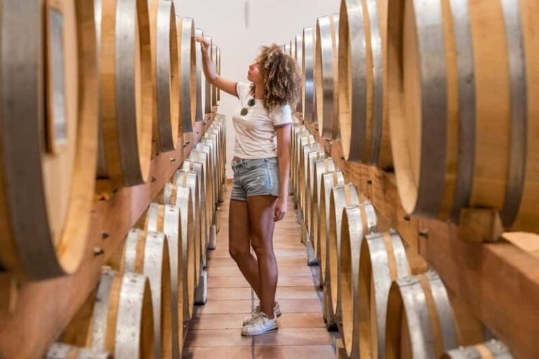 From Marseille Cruise Port : Avignon & Wine Tasting - Exploring Avignon: The City Unveiled