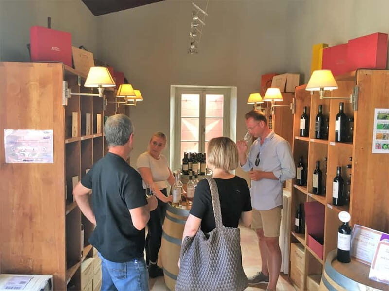 From Marseille: Wine and Scenery around Aix-en-Provence