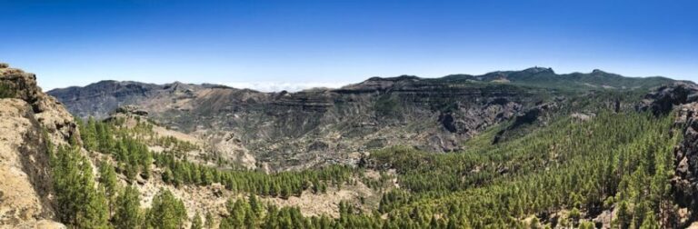 From Mogán/Maspalomas: Gran Canaria from the Heights and Incredible Views - Practical Details and Value