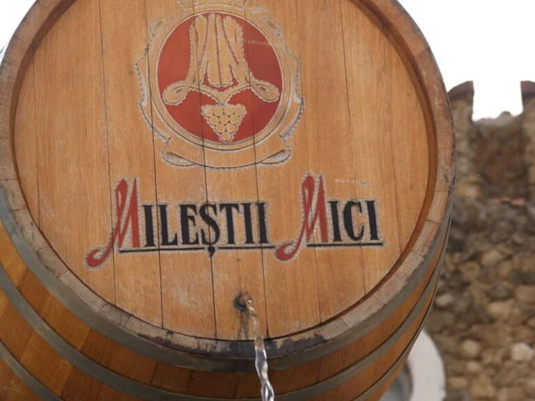 from Moldova: Manuc Bei mansion -Milesti Mici wine cellar - What To Expect and Practical Tips