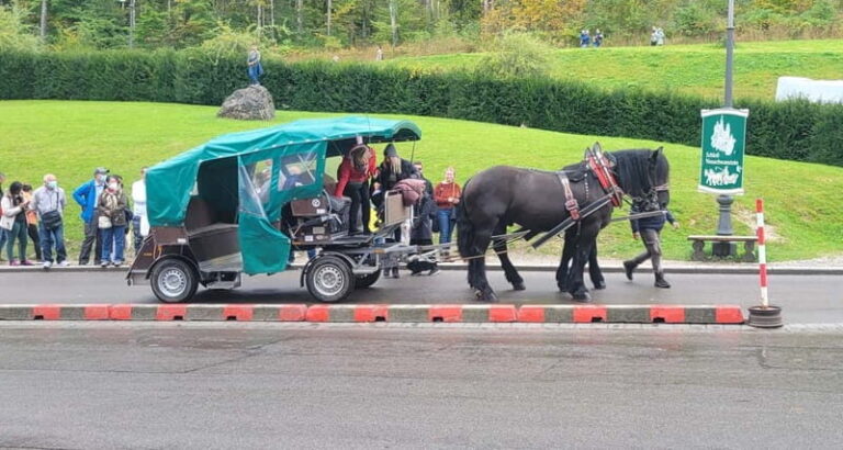 From Munich: Royal Fairytale Tour - Transportation and Group Size: Why They Matter