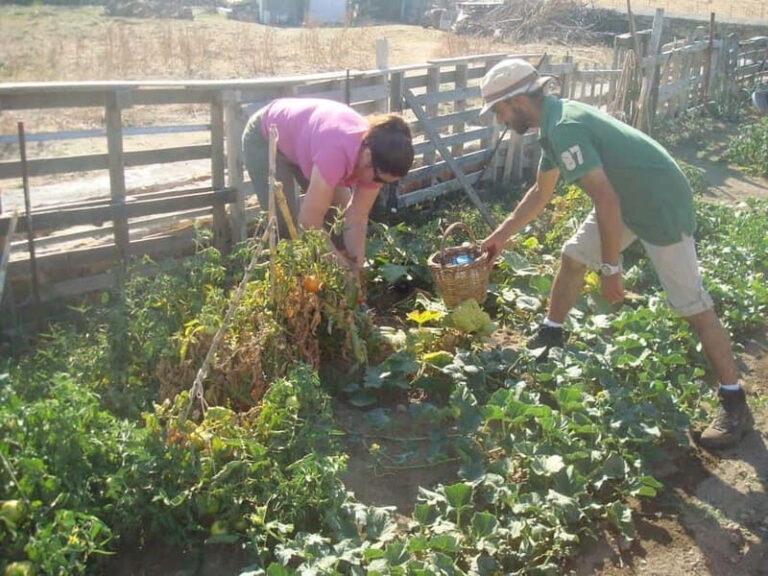 From Mykonos: Ano Mera Farm Tour - Who Will Enjoy This Tour?