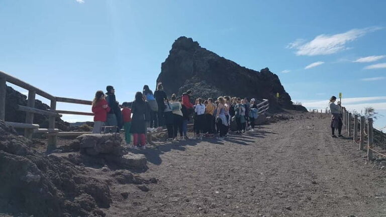 From Naples: Day Trip to Mount Vesuvius - Pricing and Value