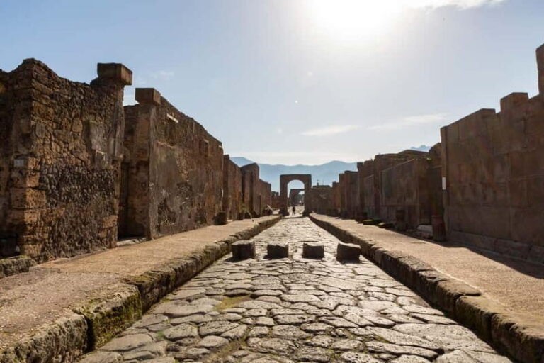From Naples: Pompeii Private Tour with Transfer and Guide - Transportation and Logistics
