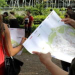 From Naples: Pompeii & Vesuvius Tour with Lunch Included - The Experience: What You Can Expect