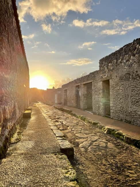 From Napoli: Driver and Skip the Line Guided Tour of Pompeii - Transportation and Group Size