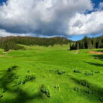 From Oradea: Apuseni Mountains Guided Hiking Tour - What to Expect During the Tour