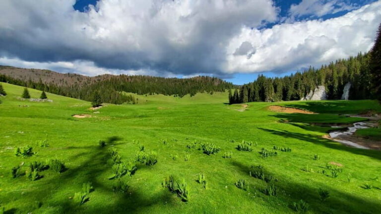 From Oradea: Apuseni Mountains Guided Hiking Tour - What to Expect During the Tour