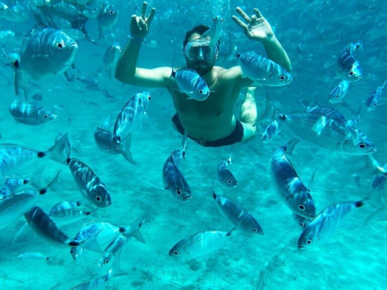 From Palau: La Maddalena Archipelago Catamaran Tour w/ Lunch - Who Will Love This Tour?