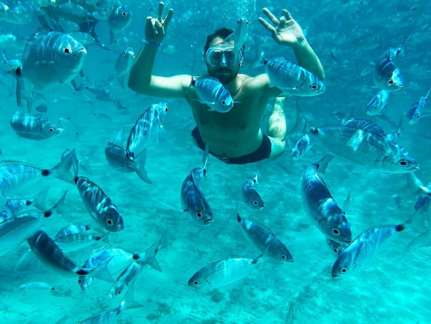 From Palau: La Maddalena Archipelago Catamaran Tour w/ Lunch - Who Will Love This Tour?