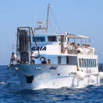 From Palermo: Bus & Cruise to Favignana & Levanzo with Lunch - Authentic Experiences & Genuine Value