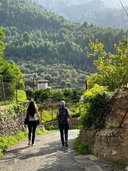 From Palma: Sierra de Tramuntana Hiking with small Picnic - Why This Tour Offers Great Value