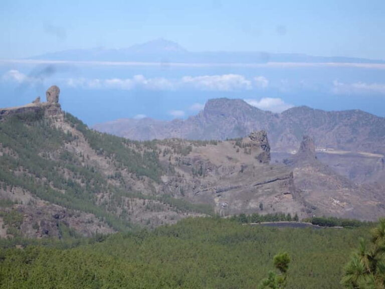 From Palmas: Pico de las Nieves & Roque Nublo Full-Day Trip - Practical Details and Tips