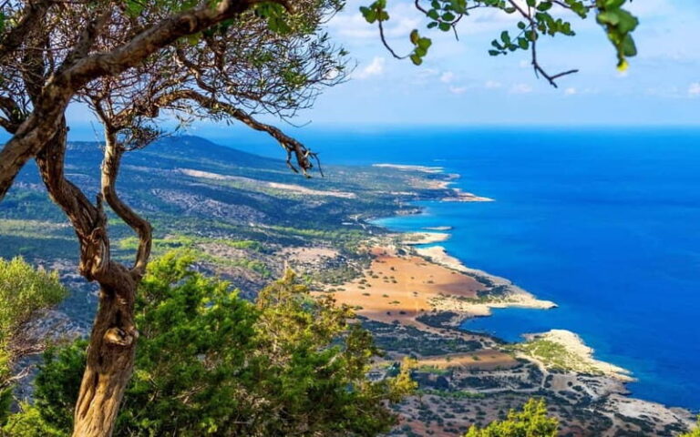 From Paphos: Akamas 4x4 Tour with Local Guide - What Makes This Tour Special