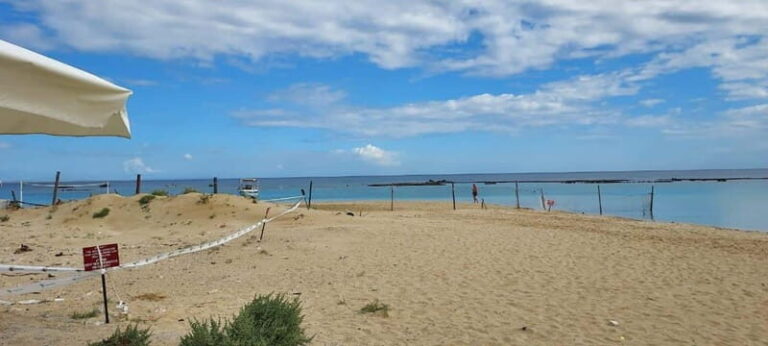 From Paphos: Famagusta, Salamis, and Varosha Walking Tour - The Experience in Detail