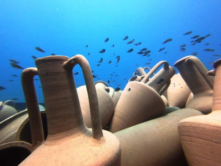 FROM PAPHOS: Snorkeling at the Marine Park (shore) - What to Expect: Practical Details