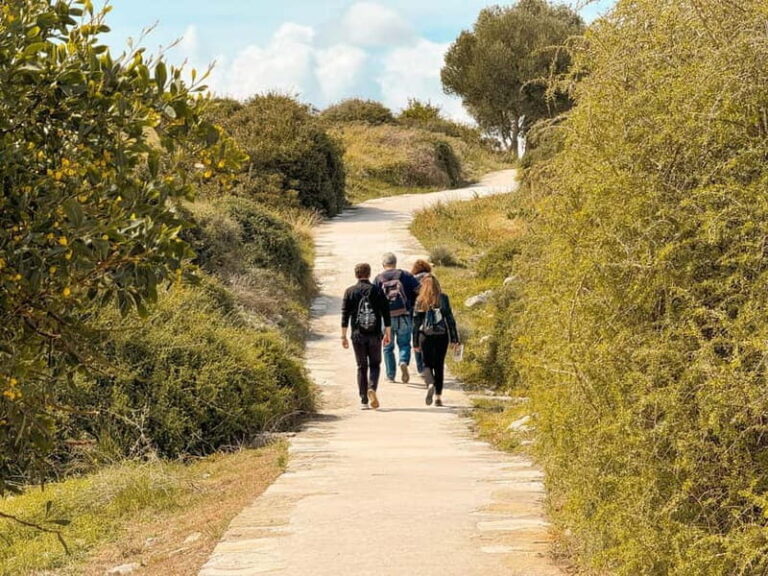 From Paphos: Trip to Limassol with Kourion & Kolossi Castle - The Practicalities: What to Know