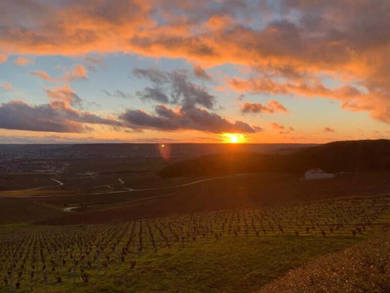 From Paris: Reims Cathedral, Champagne Cellar, and Tasting - Who This Tour Is Best For