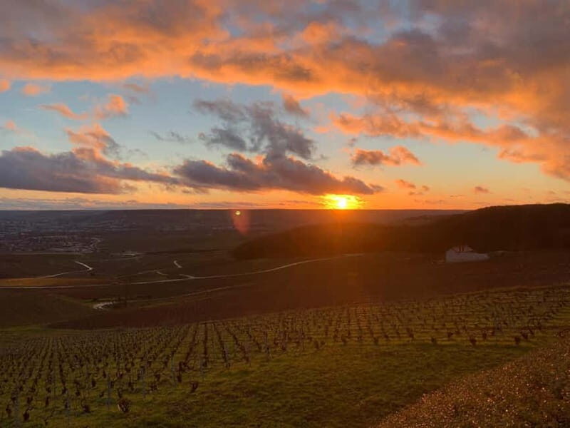 From Paris: Reims Cathedral, Champagne Cellar, and Tasting - Who This Tour Is Best For