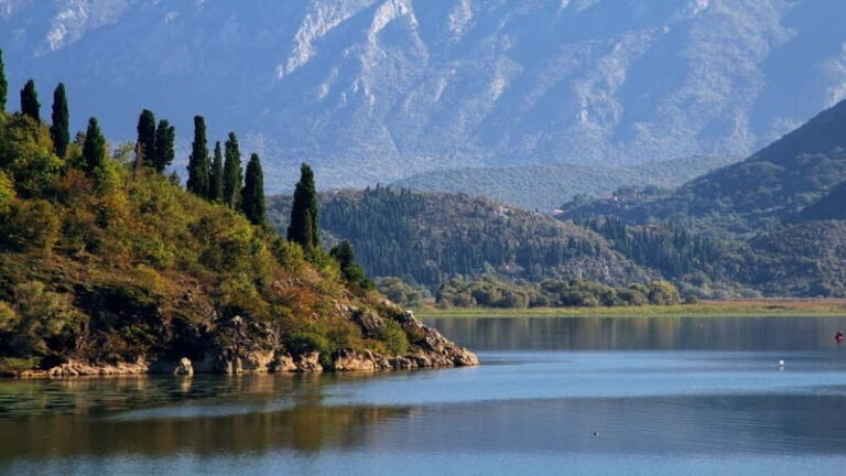 From Petrovac or Budva: Skadar Lake Cruise with Lunch - The Realities of the Experience: Pros and Cons