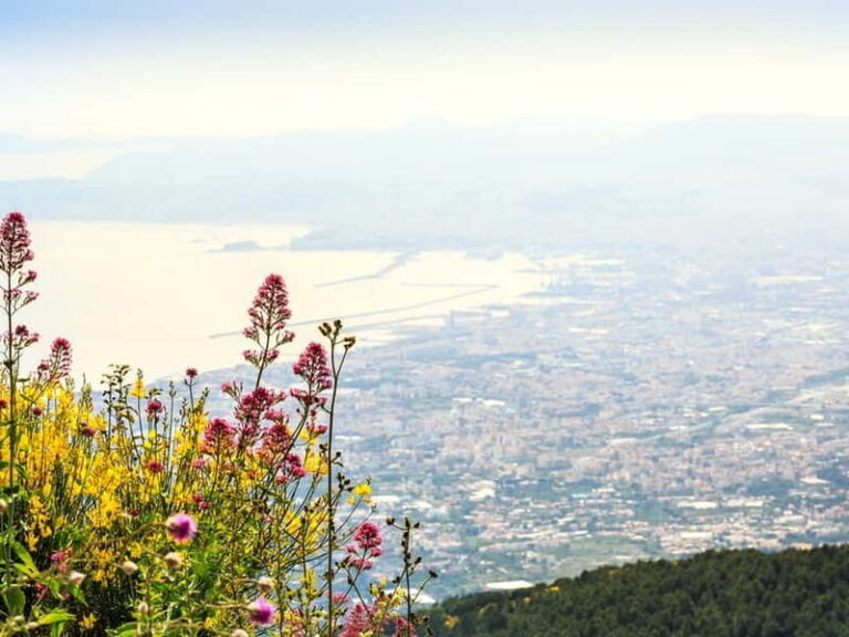 From Pompeii: Mount Vesuvius Hike & Tour by Bus - What to Expect from This Tour