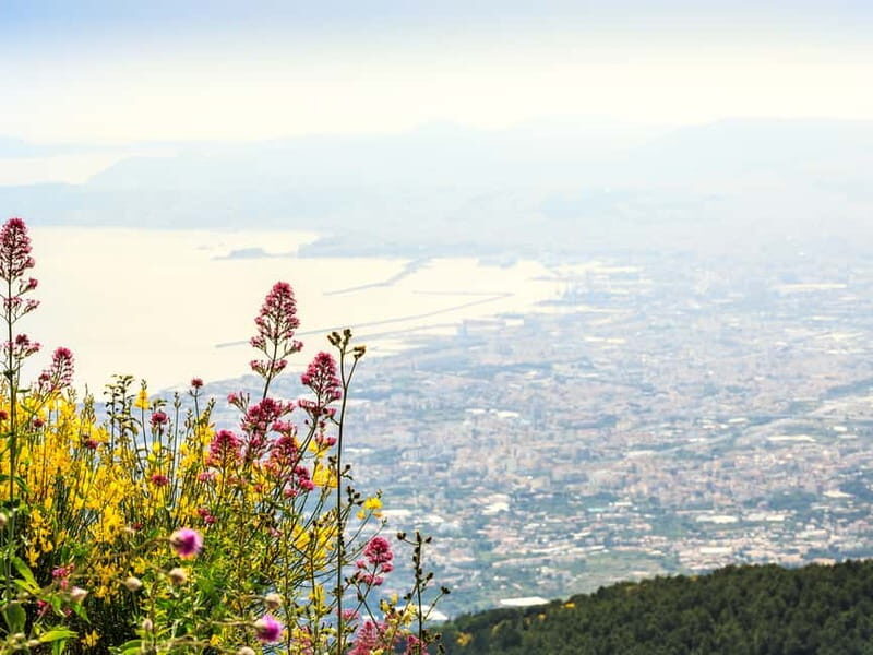 From Pompeii: Mount Vesuvius Hike & Tour by Bus - What to Expect from This Tour