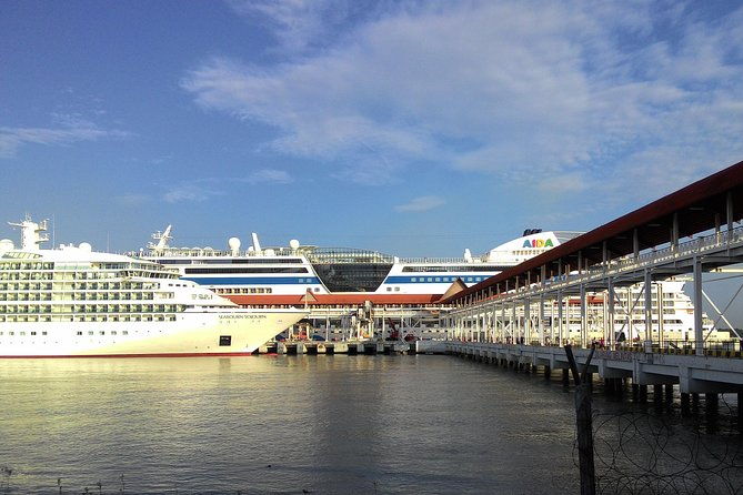 From Port Klang Cruise To Kuala Lumpur City Sightseeing Tour - A Closer Look at the Itinerary