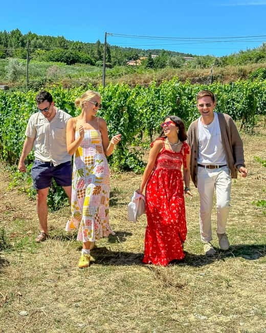 From Porto: Douro Valley Private Tour w/ 3 Wineries & Lunch - The Itinerary Breakdown: What to Expect