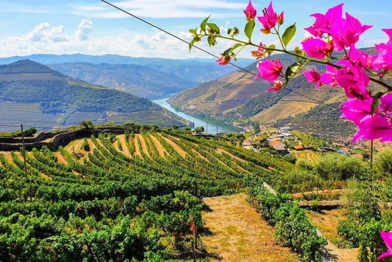 From Porto: Douro Valley with Wineries, Lunch and Boat Trip - What Makes This Tour Stand Out?