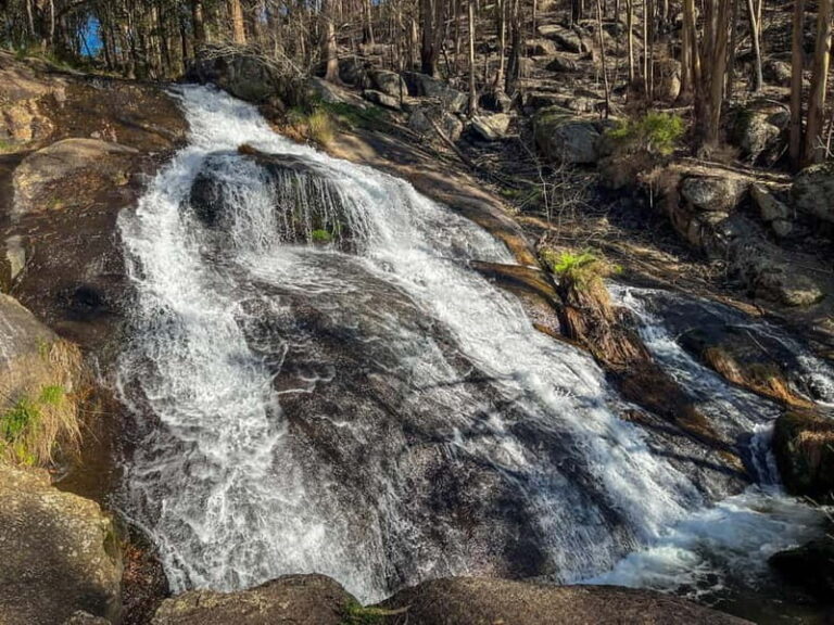From Porto: Forest Waterfalls & Roman Ruins Trail Tour - Final Thoughts: Who Will Love This Tour?
