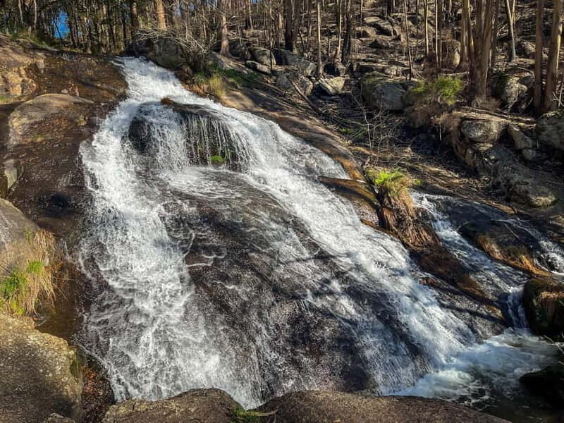 From Porto: Forest Waterfalls & Roman Ruins Trail Tour - Final Thoughts: Who Will Love This Tour?