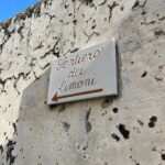 From Positano: Lemon Tour with Tasting Session and Transfer - What’s Included and What to Consider