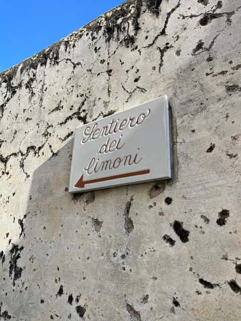 From Positano: Lemon Tour with Tasting Session and Transfer - What’s Included and What to Consider