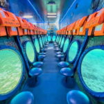 From Protaras: Cruise to Blue Lagoon, Turtle Cove & Sea Cave - Who Is This Tour Best For?